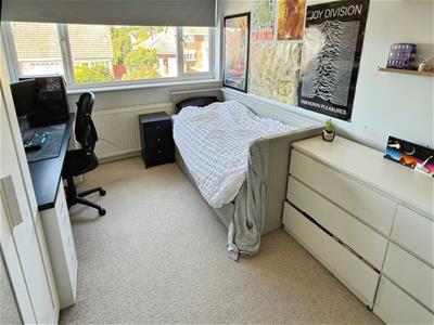 Picture 22